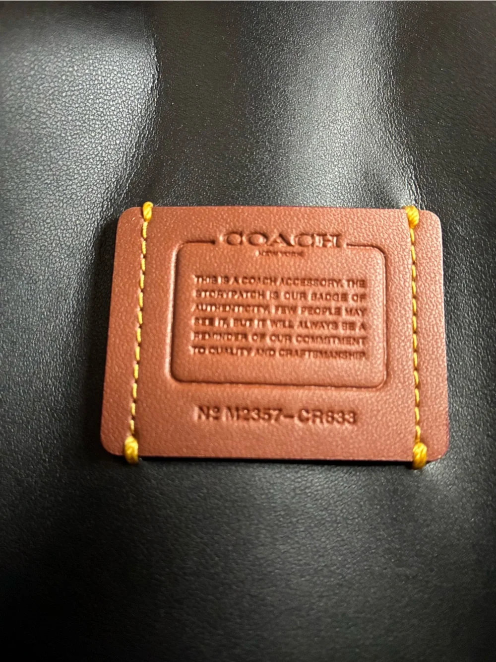 Coach Essential Small Leather Clutch Chain Crossbody Purse